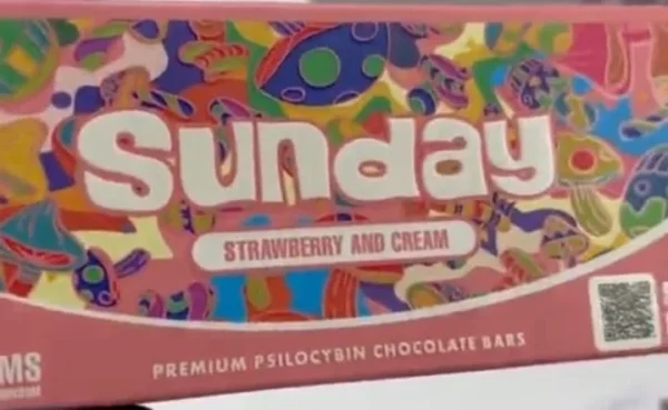 Sunday Strawberry & Cream mushroom chocolate bar